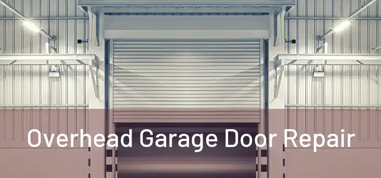  Overhead Garage Door Repair 