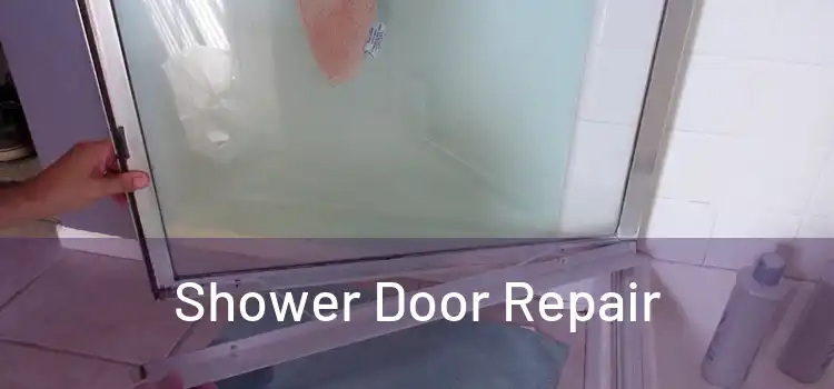  Shower Door Repair 